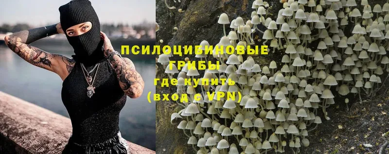 Галлюциногенные грибы MAGIC MUSHROOMS  Нарткала 